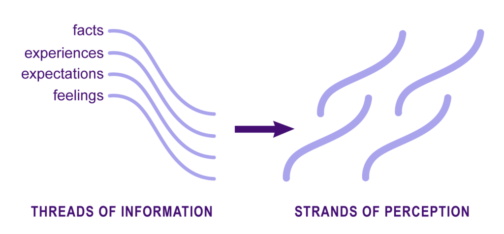 Representation of threads of perception developing into strands of perception.